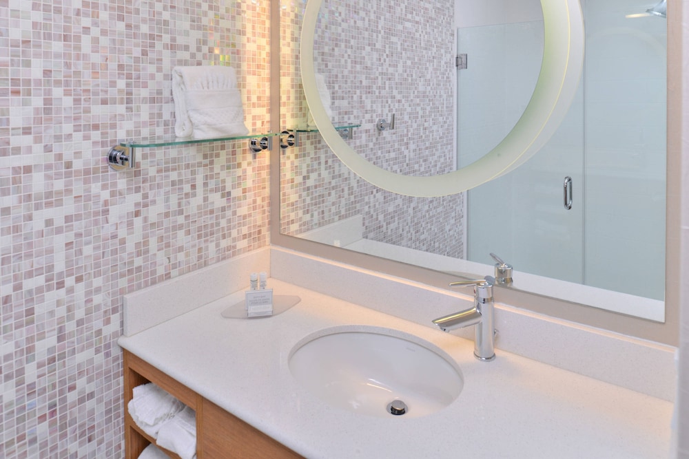 SpringHill Suites by Marriott Detroit Metro Airport Romulus 11/47