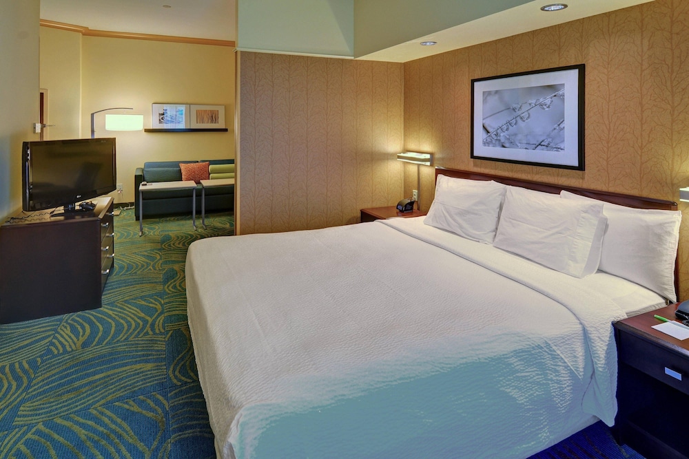 Springhill Suites By Marriott Dfw Airport East Las Colinas 9/28