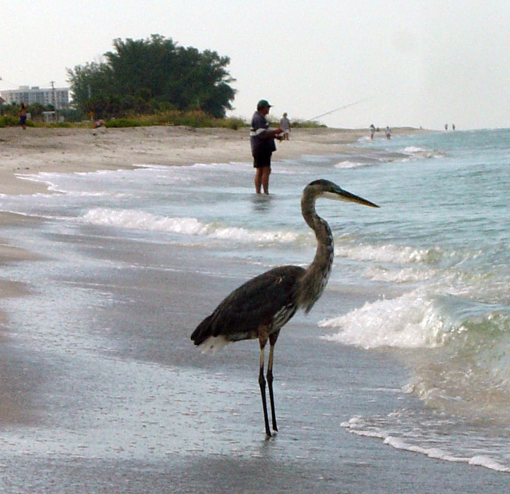 Casa Del Mar Longboat Key 41/50