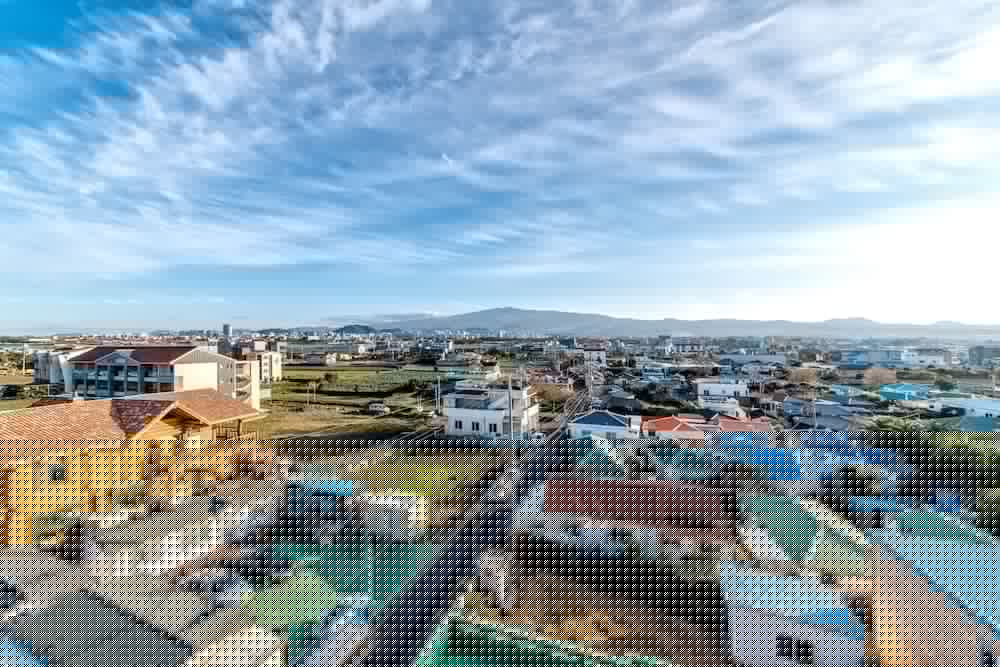 Odri Inn Jeju 36/58