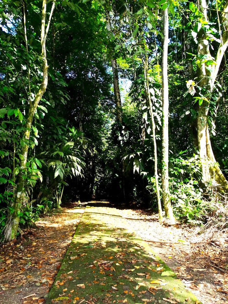 La Selva Biological Station 45/50