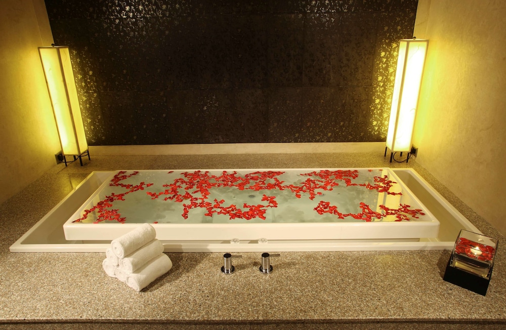 Radisson Blu Plaza Hotel Delhi Airport 39/76