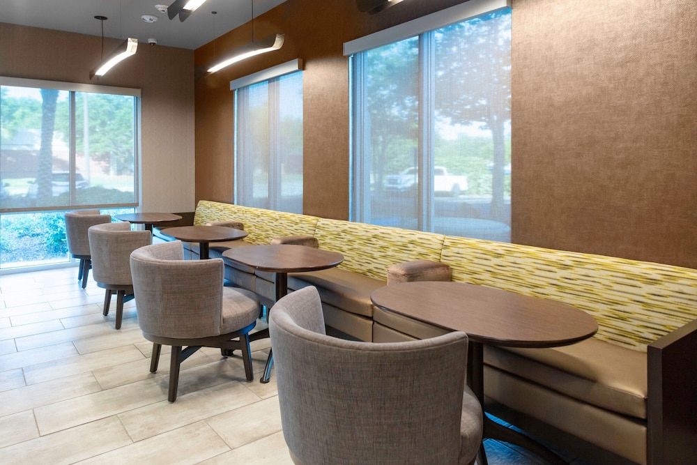 Springhill Suites By Marriott Baton Rouge South 24/32