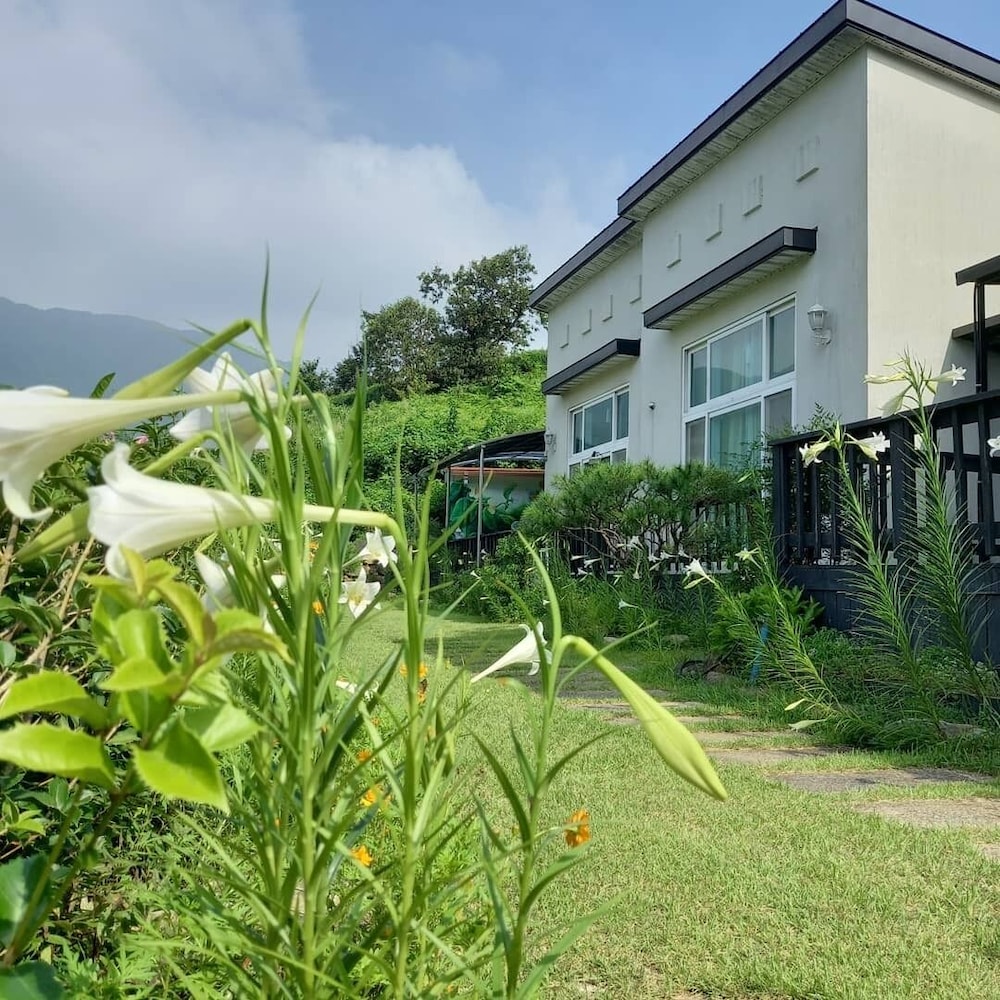 Emotion Pension 29/37