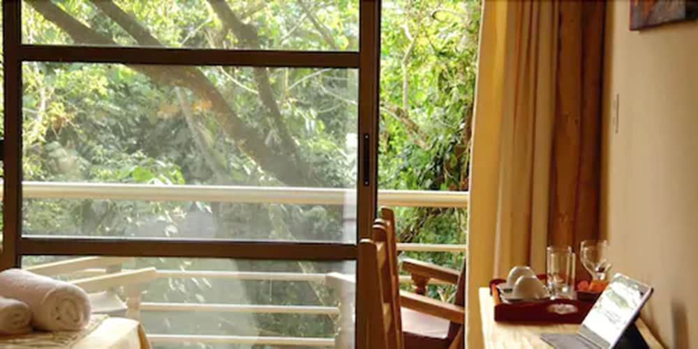 Rainforest de Selva Hotel 32/65