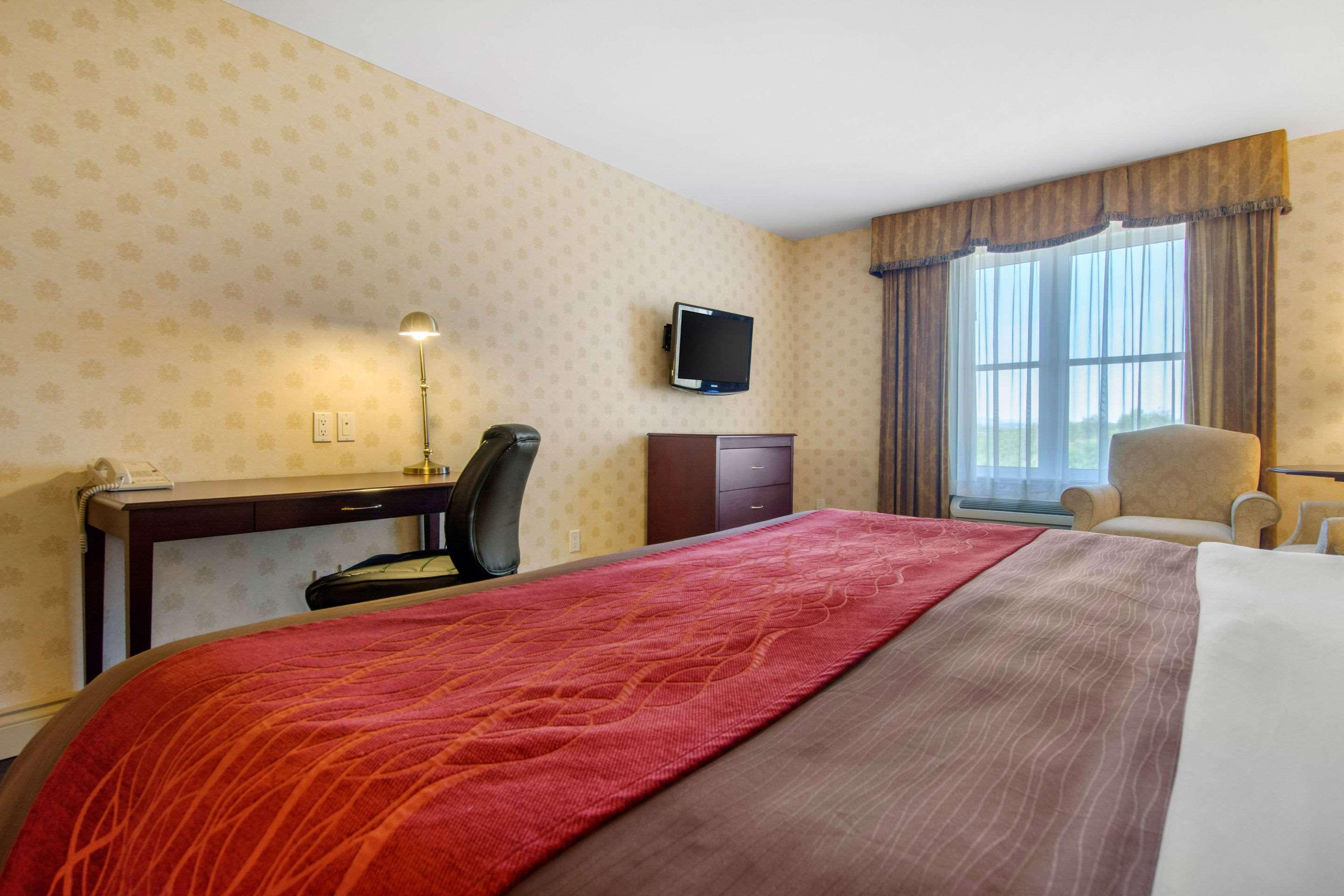 Room, King Bed