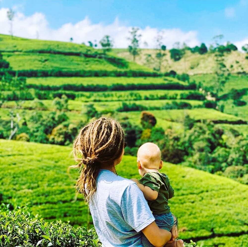 The Tea Garden 43/55