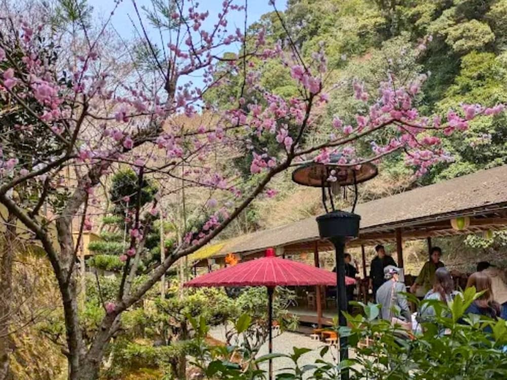 Takao Kanko Hotel 26/50