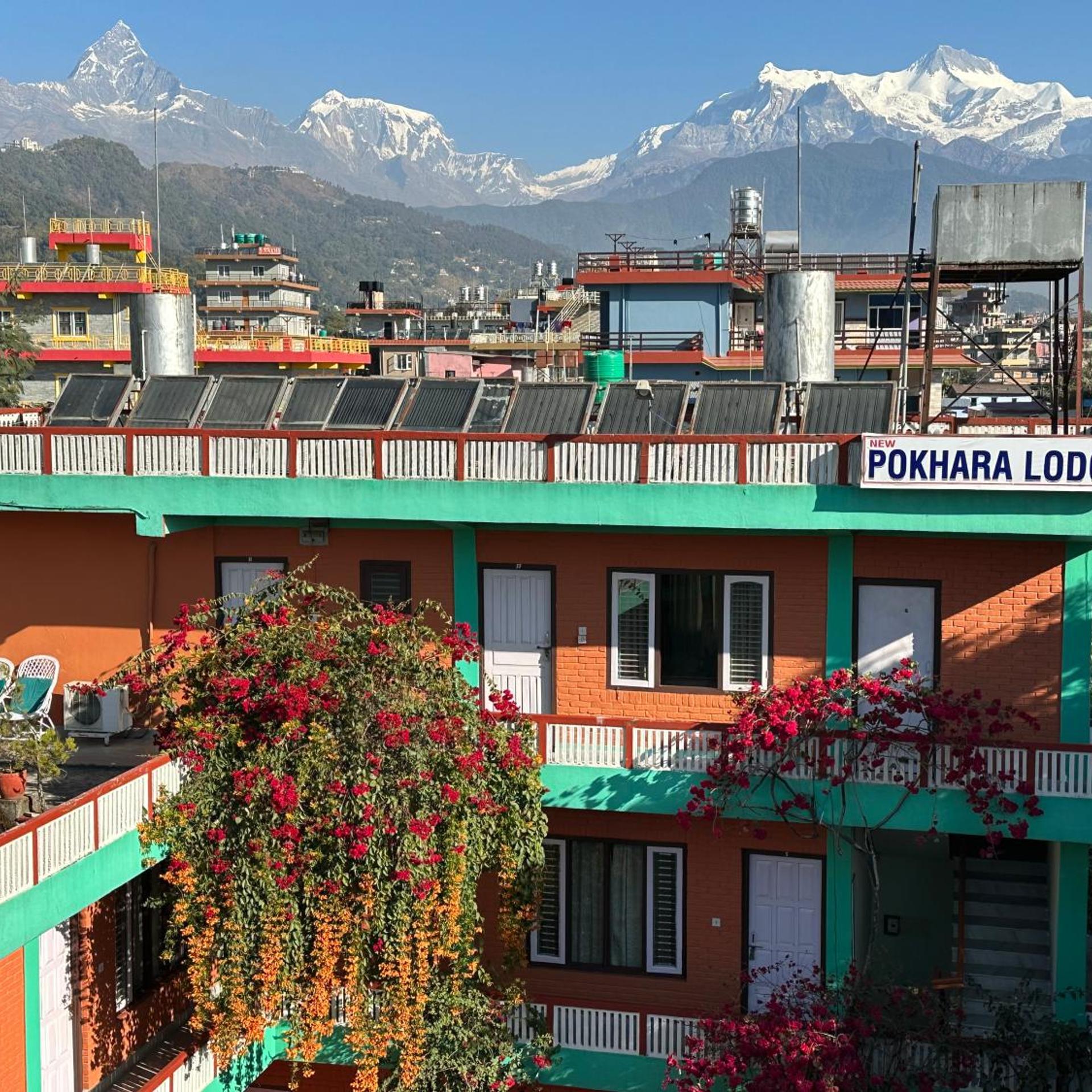 New Pokhara Lodge 8/51
