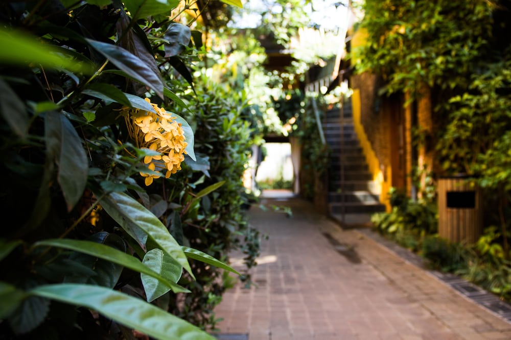 Le Bougainviller Hotel 33/39