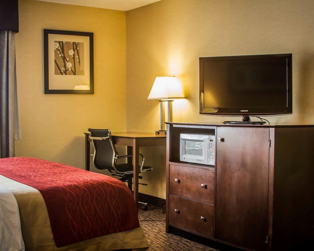 Quality Inn & Suites Port Huron 13/35