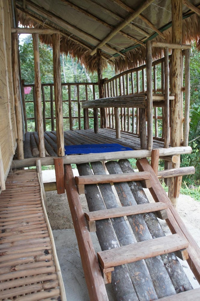 Rain Forest Inn 31/66