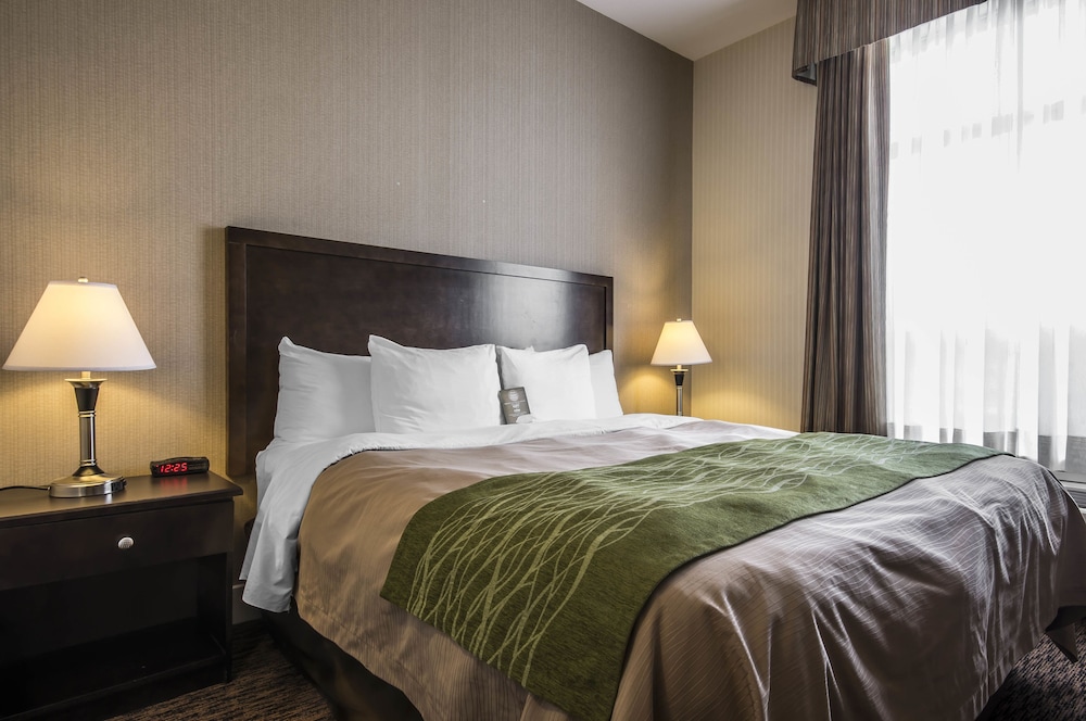 Comfort Inn & Suites Surrey 15/60