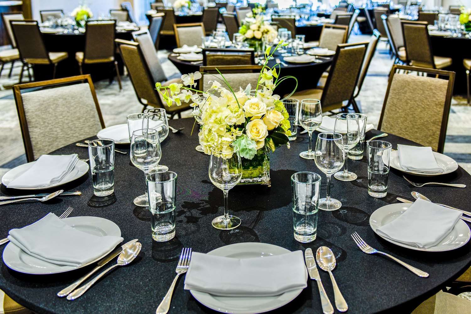 Cambria Hotel McAllen Convention Center 19/40