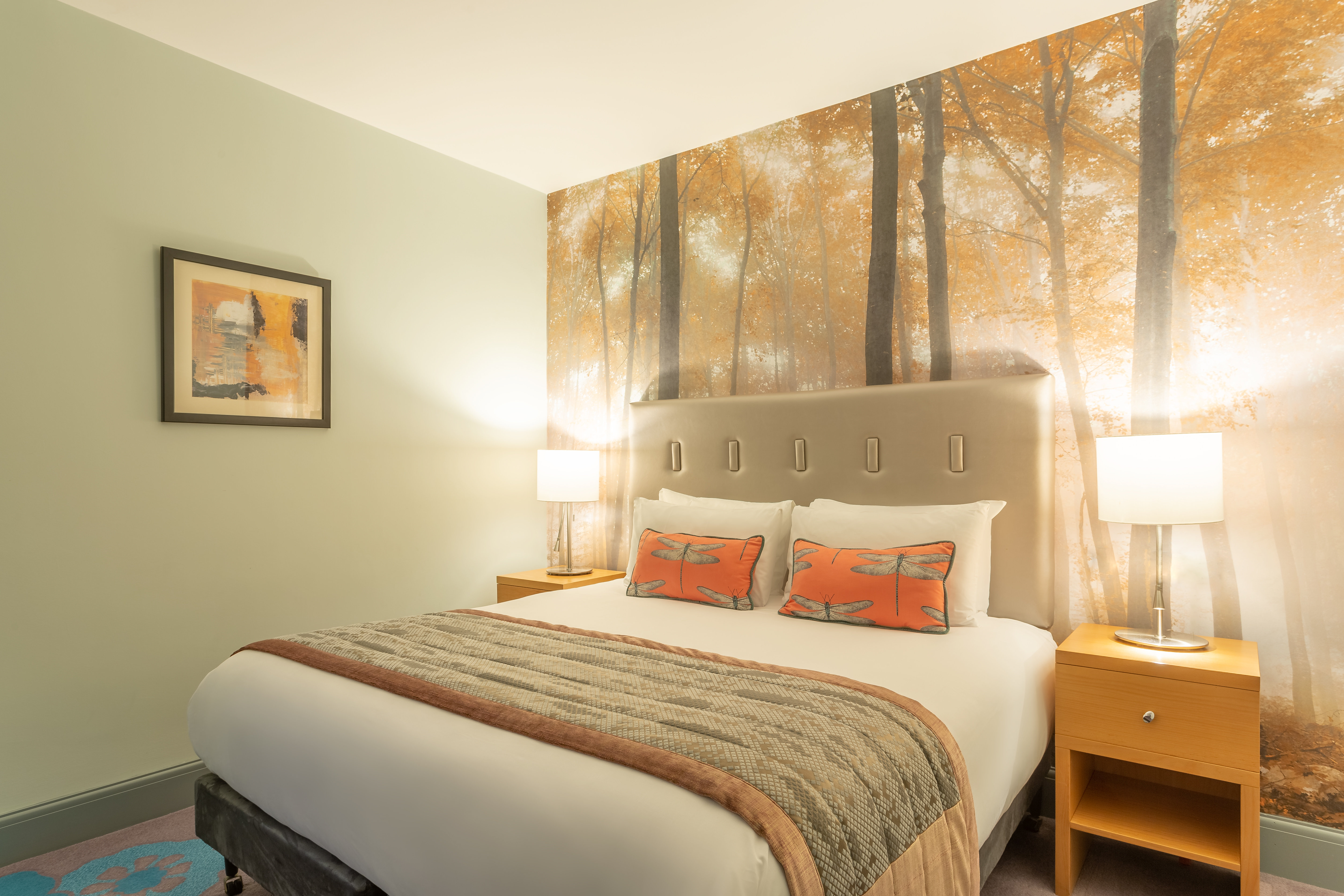 Premium, King Bed, Accessible