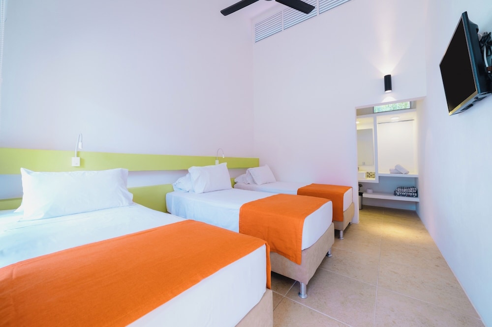 hotel las palmeras 15/50
