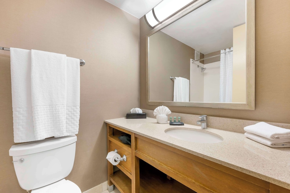 Best Western Grant Park Hotel 55/55