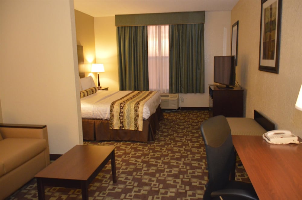 Best Western Plus Hobby Airport Inn and Suites 35/58