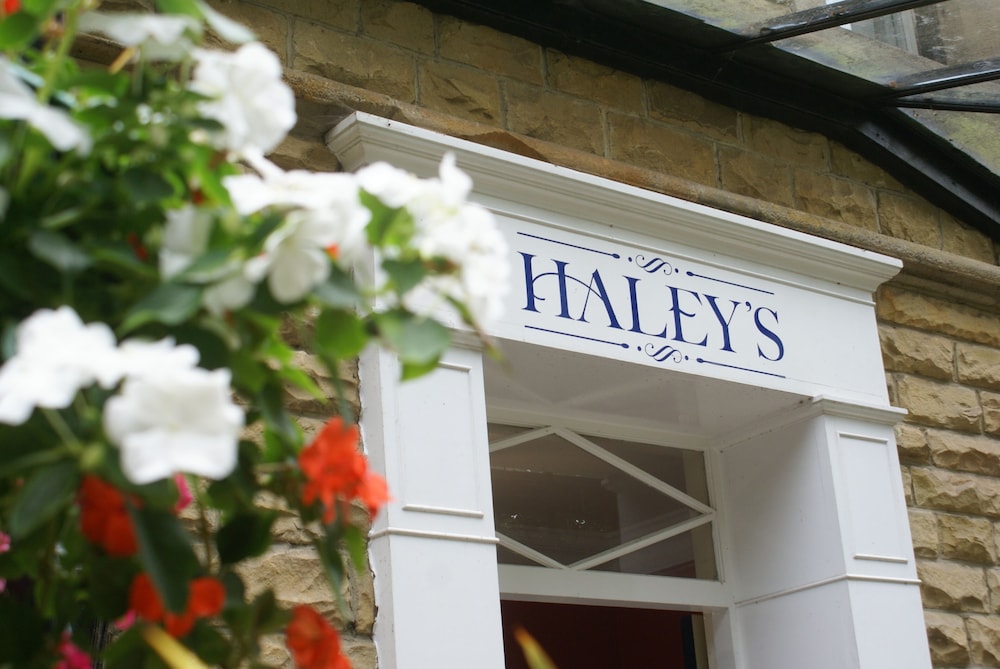 Haley s Hotel 43/65