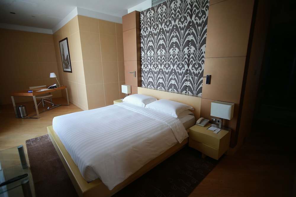 Hyatt Regency Dushanbe 14/66