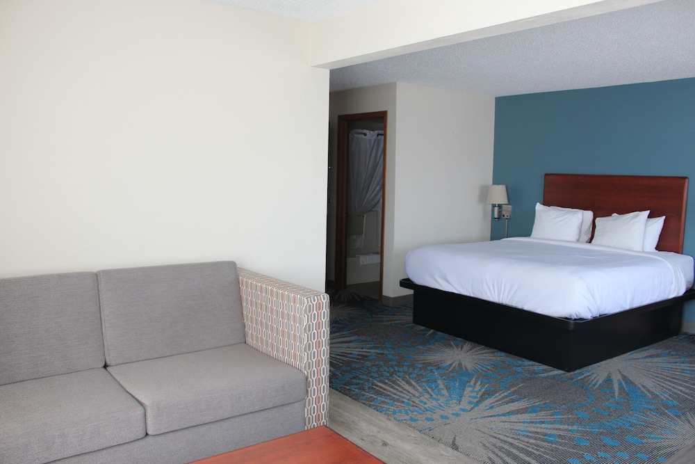 Suite, King Bed, East Wing