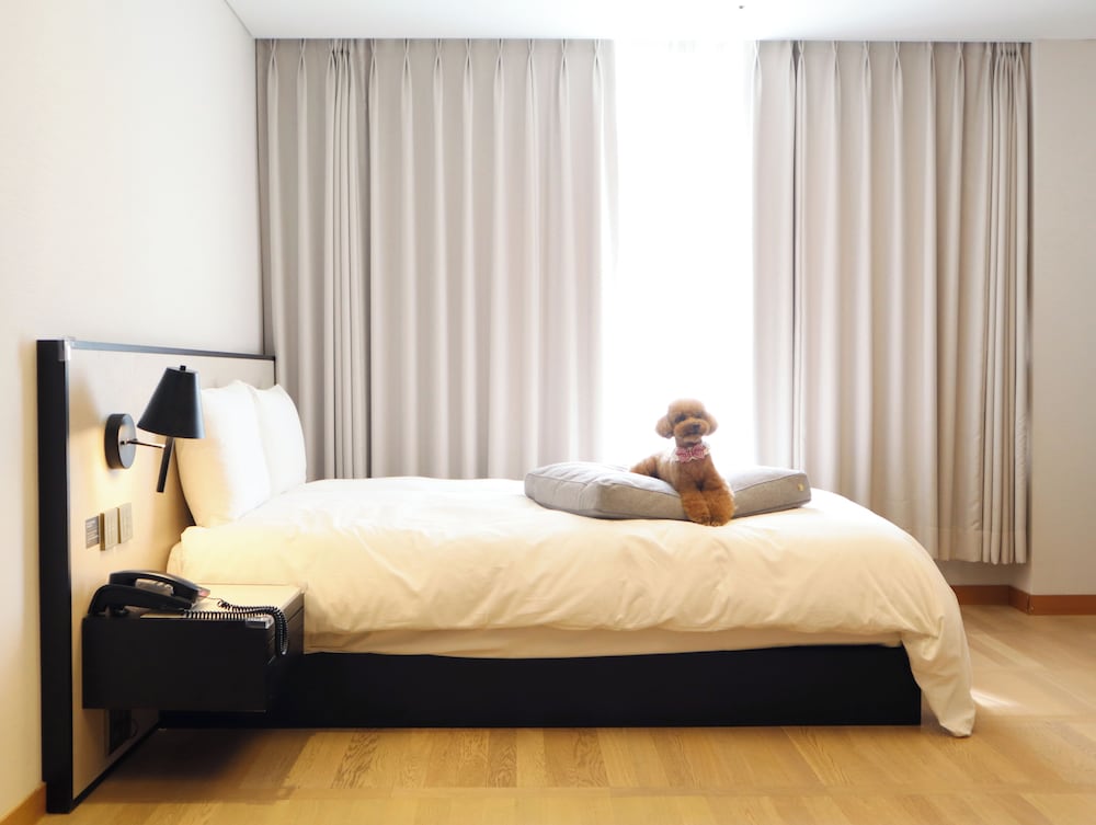 Ondol, Premium, Double Bed, Pet Friendly
