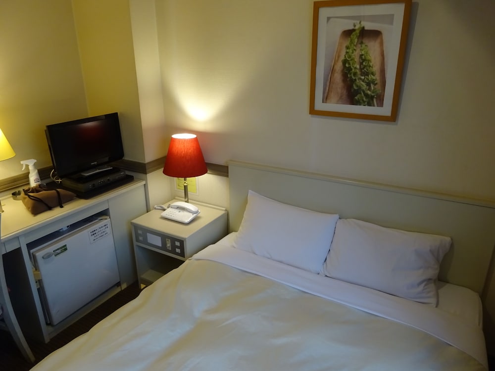 Matsumoto Wellton Hotel 9/26