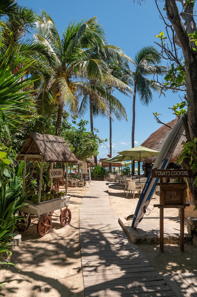 Hotel Colibri Beach 62/82