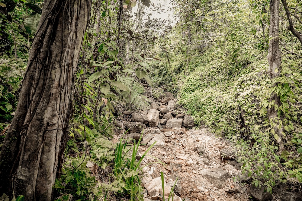 Arsulana Eco Lodge and Ayurveda Spa 42/58