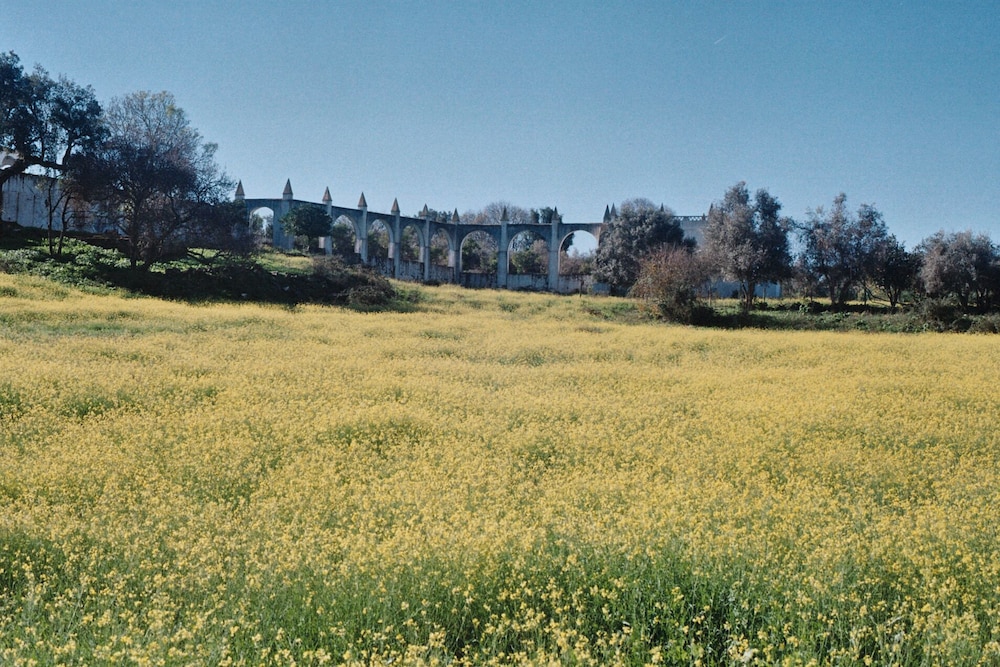 Hotel Calipo 55/88