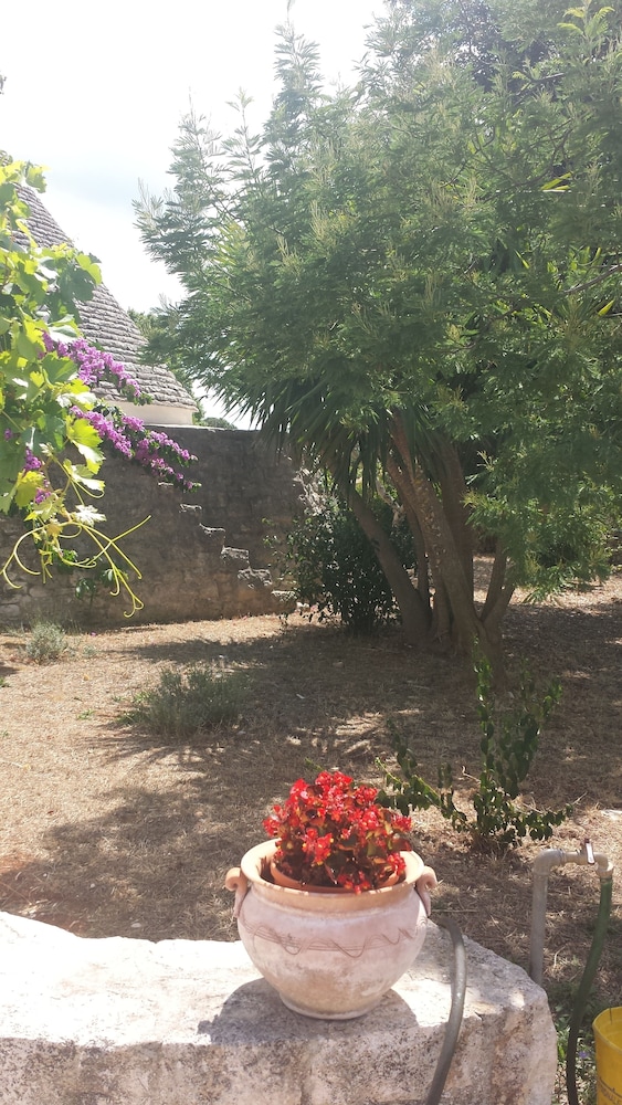 Masseria Gianca 30/39
