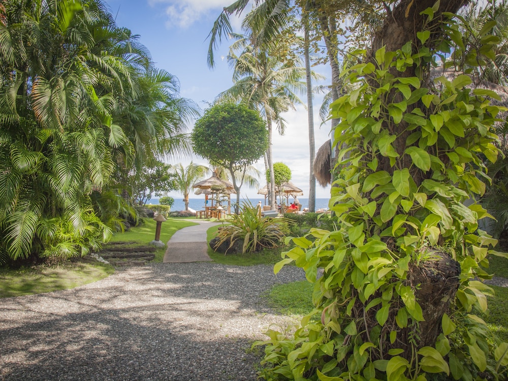 Pura Vida Beach And Dive Resort 53/61
