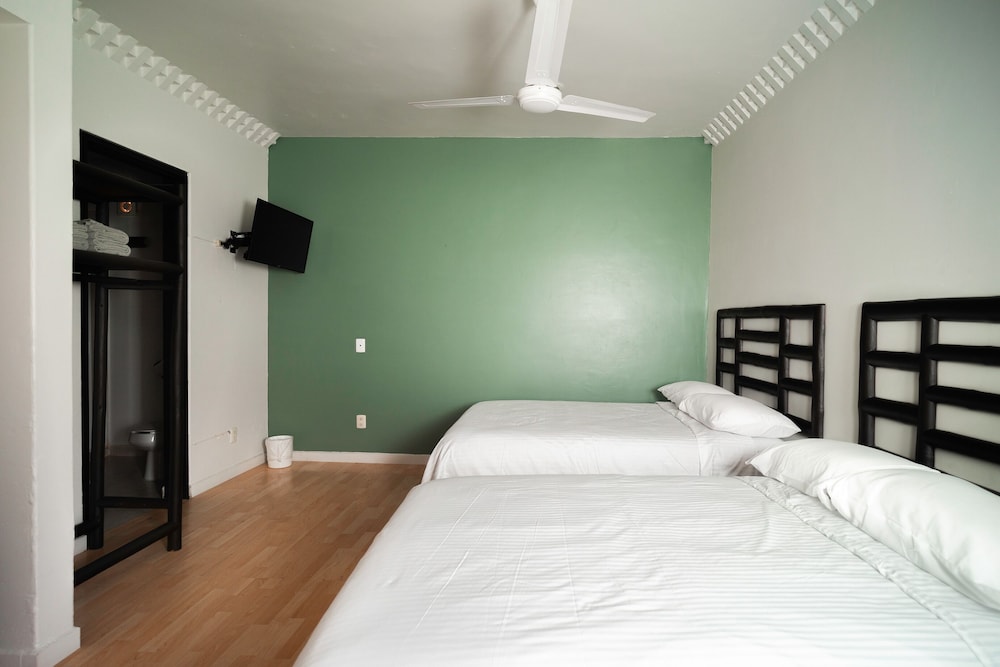 Hotel Quinta Moctezuma 18/60