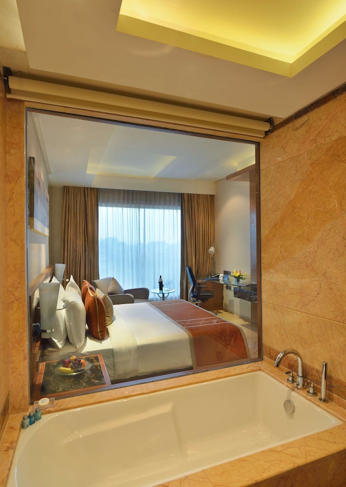 Radisson Blu Hotel Kaushambi Delhi Ncr 67/68