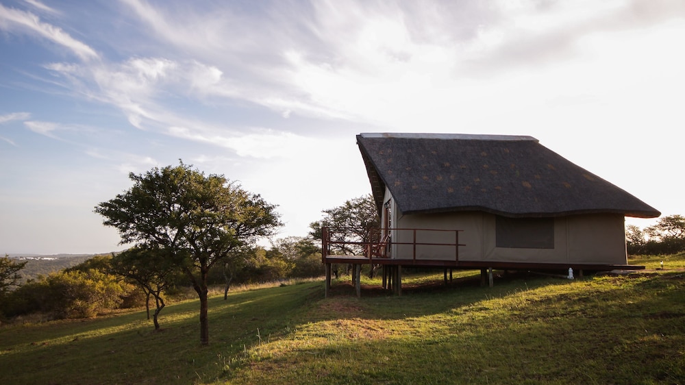 J-Bay Zebra Lodge 5/50