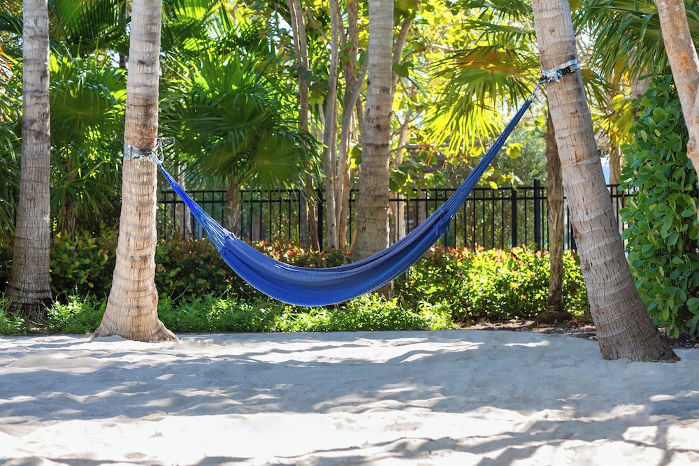 Blue Flamingo Resort Key West 31/56