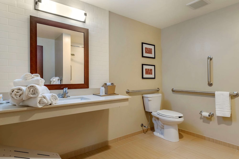 Comfort Suites Manheim - Lancaster 18/55