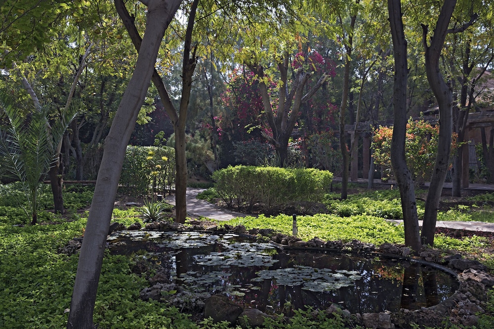 THE MANAVAR RESORT AND CAMP 32/50
