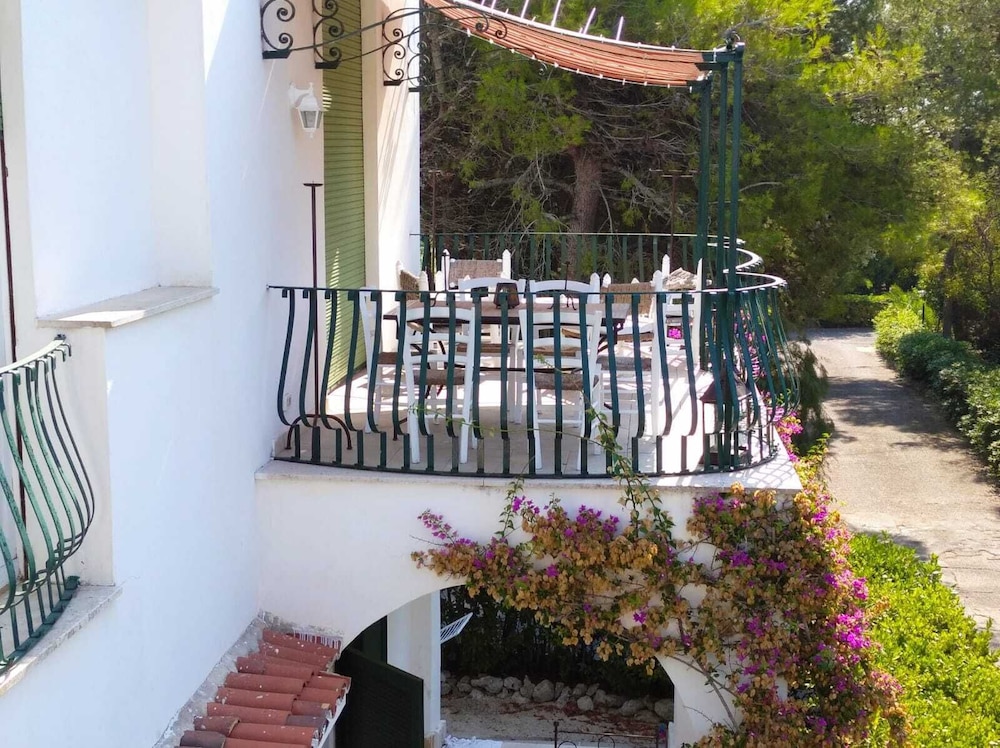 Tenuta Belvedere 3/50