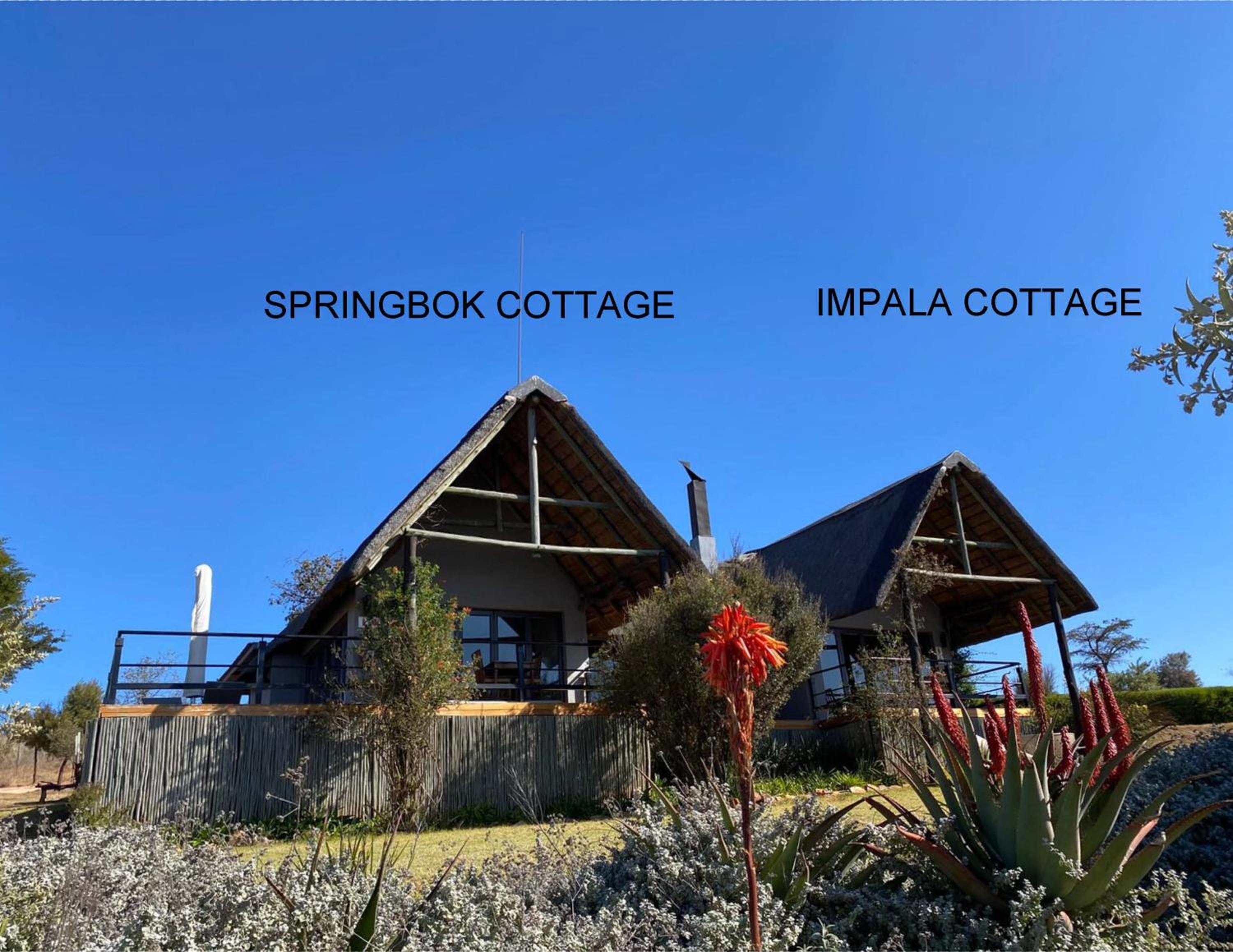 Sibani Lodge 1/55