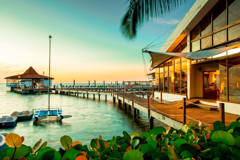 Decameron Aquarium - All Inclusive 4/41