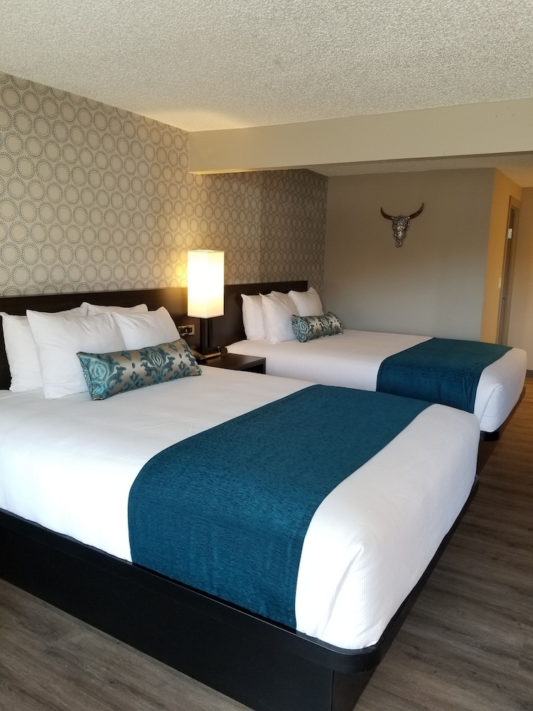 The Hotel Y, a Dazzler Select by Wyndham 7/21