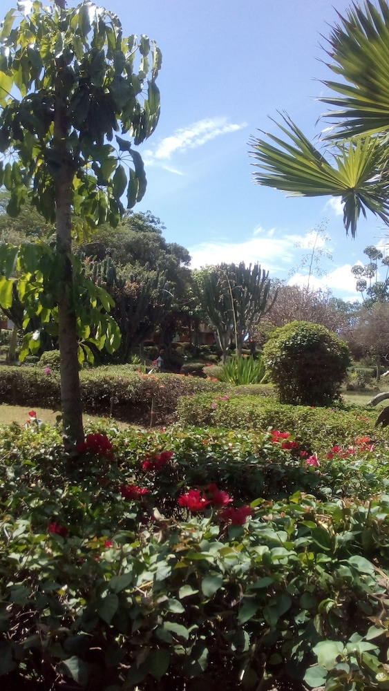 Jacaranda Lake Elementaita Lodge 28/34