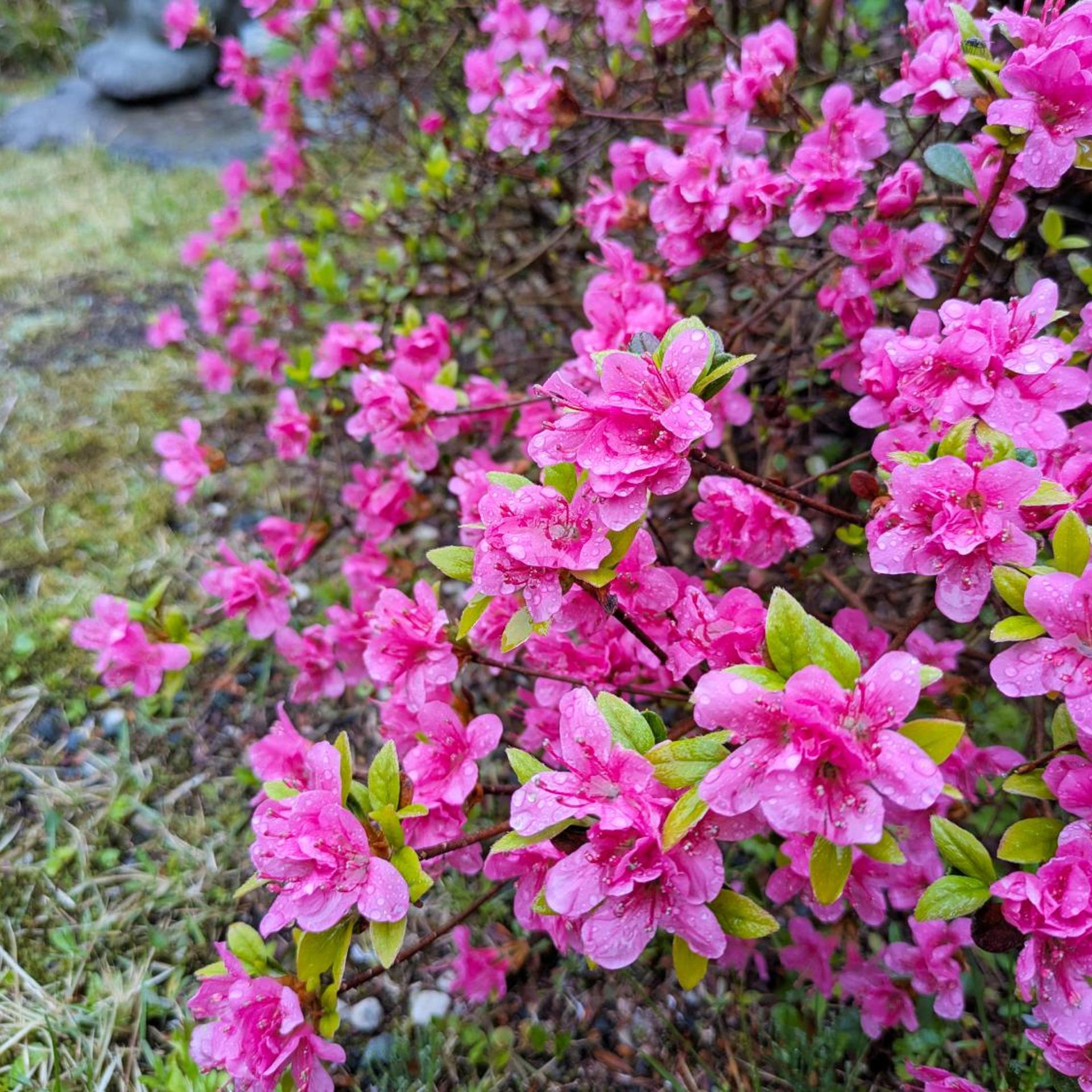 Itoen Hotel Shima 59/62