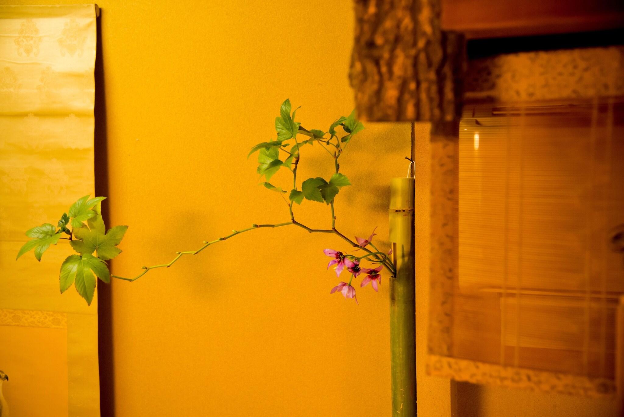 Ryokan Senkei Hotel 24/41