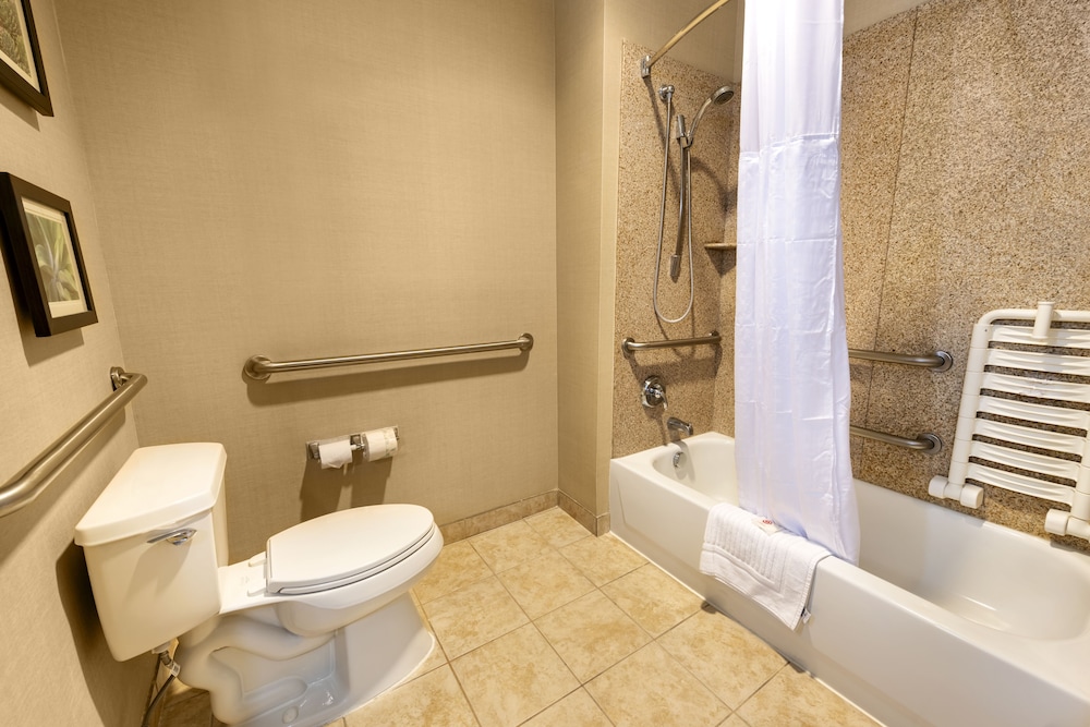 Comfort Suites Goodyear West Phoenix 13/33