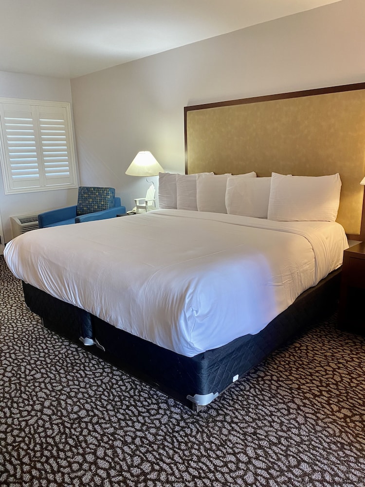 Morro Shores Inn And Suites 31/67
