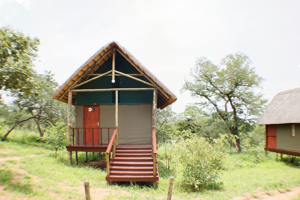 Lion Roars Lodge 2/46