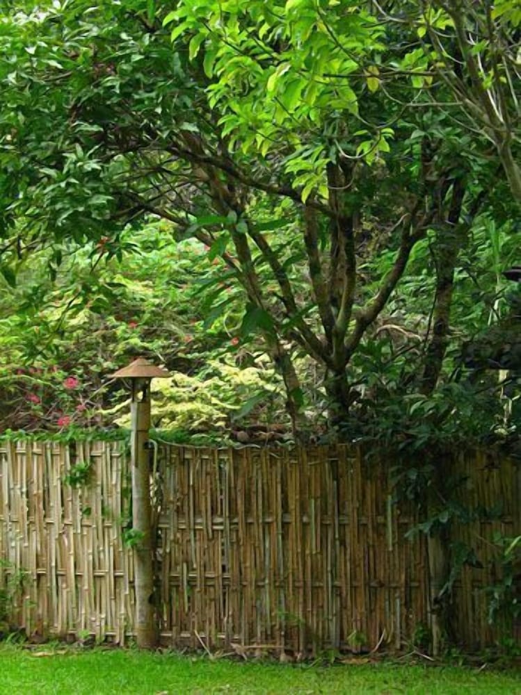 Fern Resort Mae Hong Son 48/67