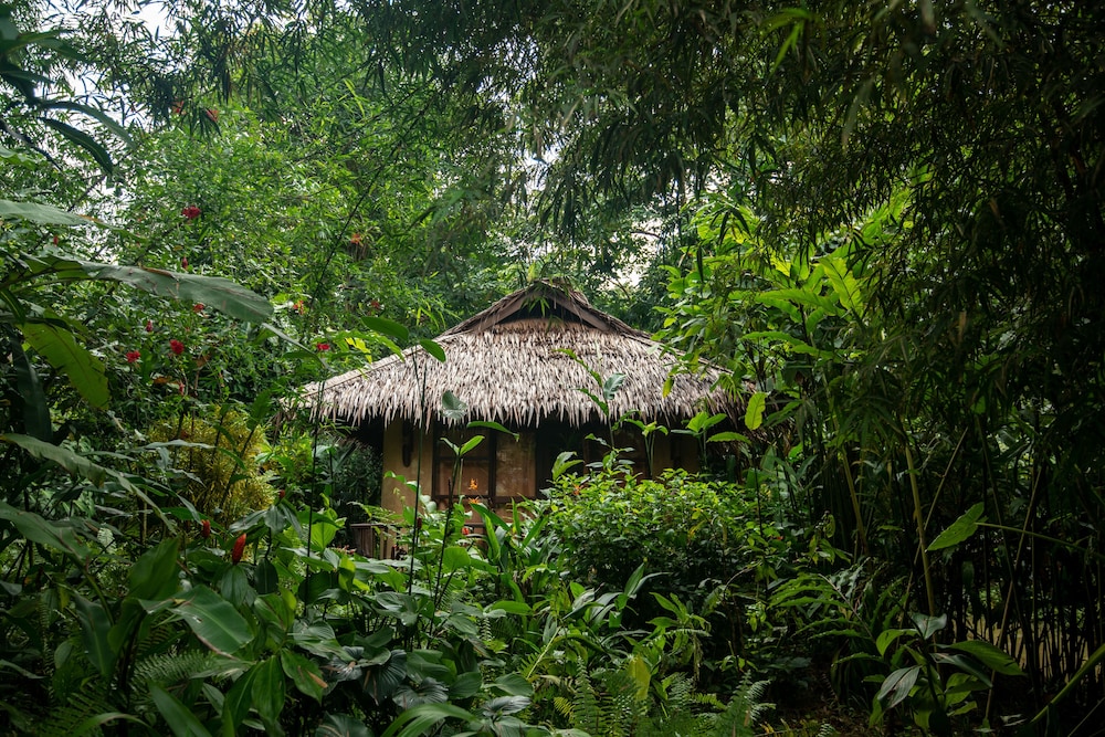 Our Jungle Camp - Eco Resort 15/75